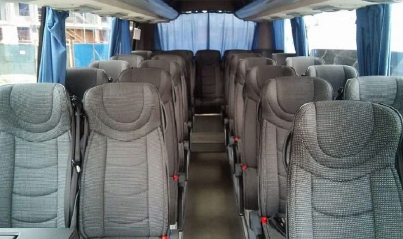 Switzerland: Coach hire in Ticino in Ticino and Locarno