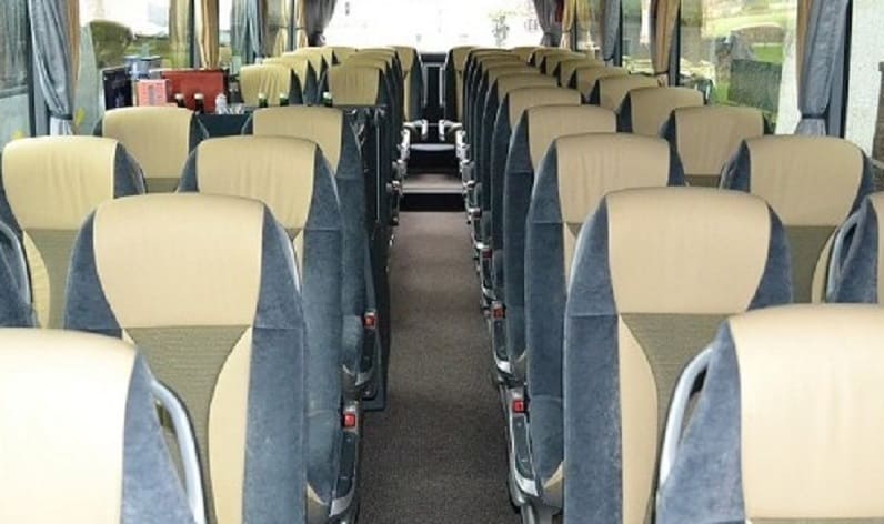 Italy: Coach operator in Piedmont in Piedmont and Novara